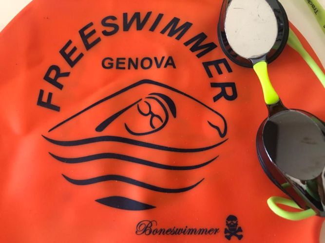 C'è Vita in Freeswimmer!