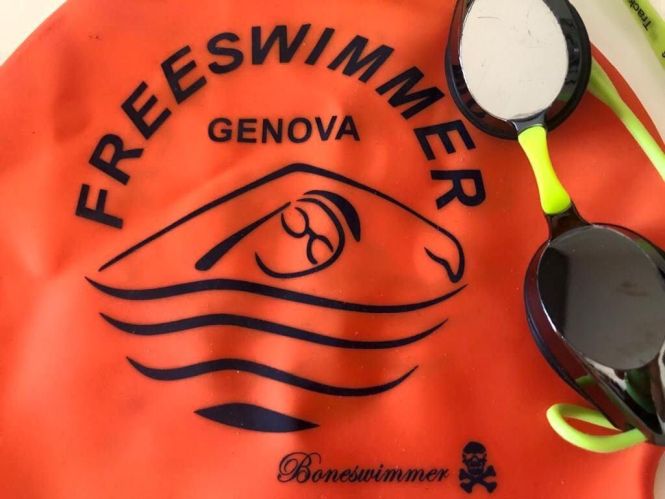 IL CONSIGLIO FREESWIMMER SI RINNOVA